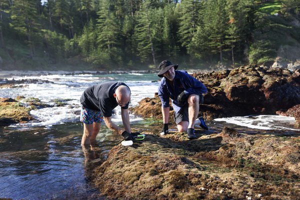 Norfolk Island Expedition 2025