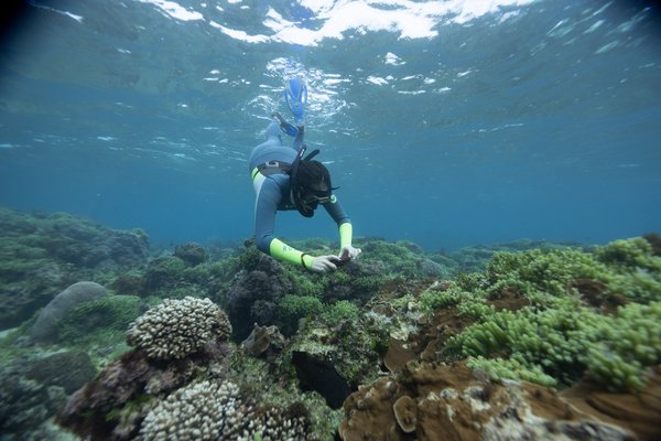 Norfolk Island Expedition 2025