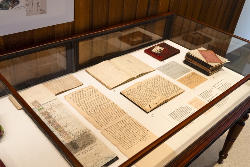 Glass display case holding open notebooks, journals, manuscript pages and leather-bound books.