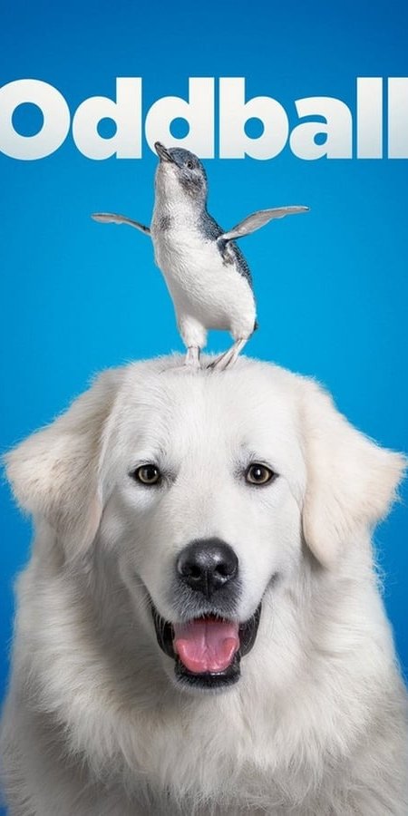 Oddball (2015, PG), the heartwarming true story of a mischievous Maremma dog who becomes an unlikely hero protecting Warrnambool's little penguins from foxes.