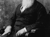 Henry Parkes portrait