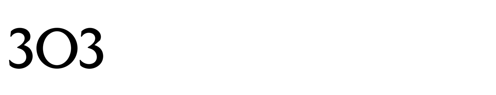 "303" logo in black serif text on white background.