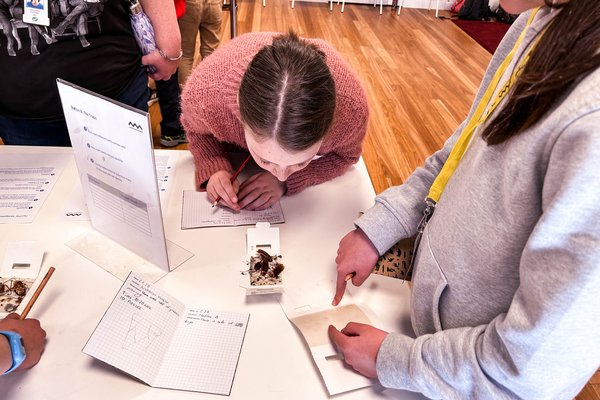 Behind the scenes in the Australian Museum Conservation lab