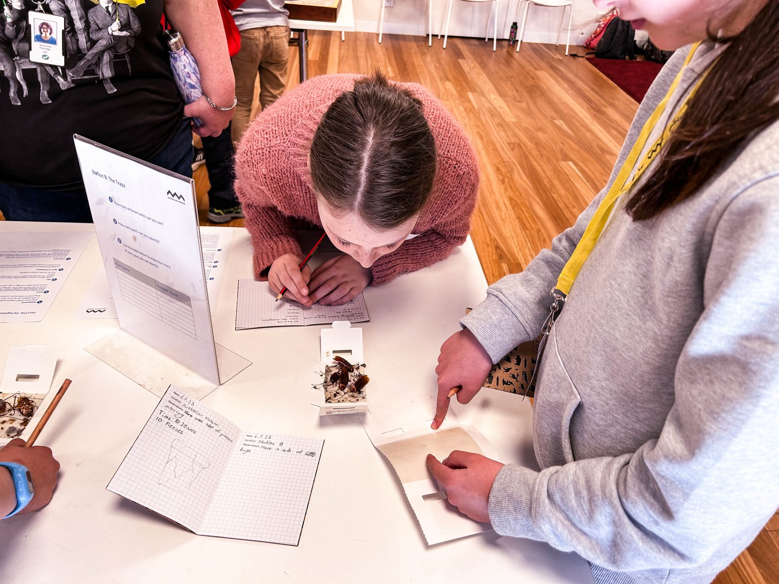 Behind the scenes in the Australian Museum Conservation lab
