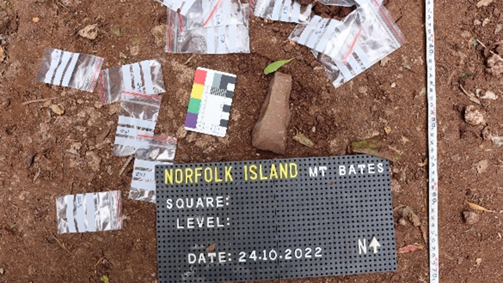 Norfolk Island Polynesian adze