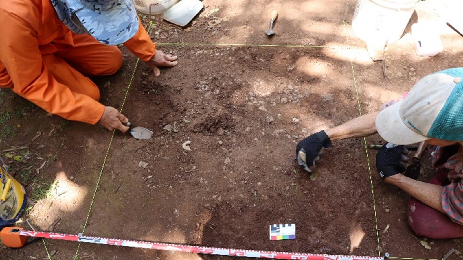 Norfolk Island Polynesian adze