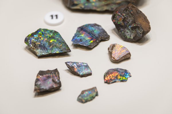 Precious boulder opal in the Minerals gallery