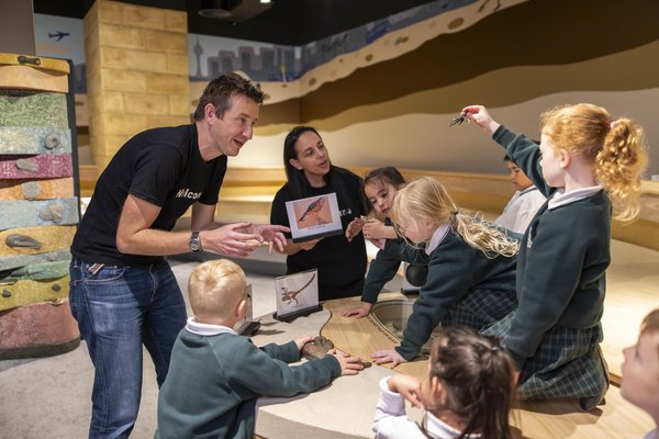 Primary school excursion