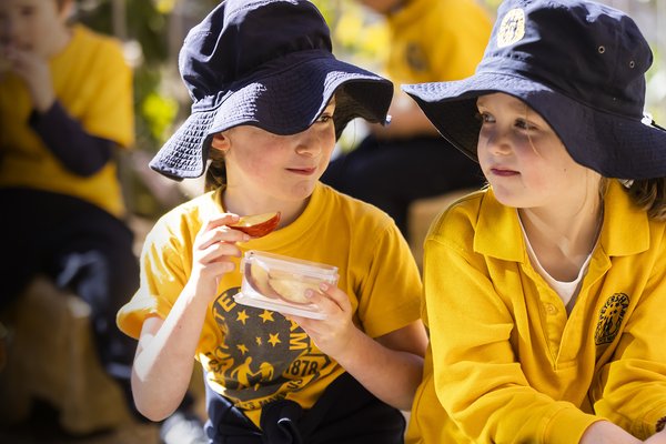 Primary school students in the lunch area