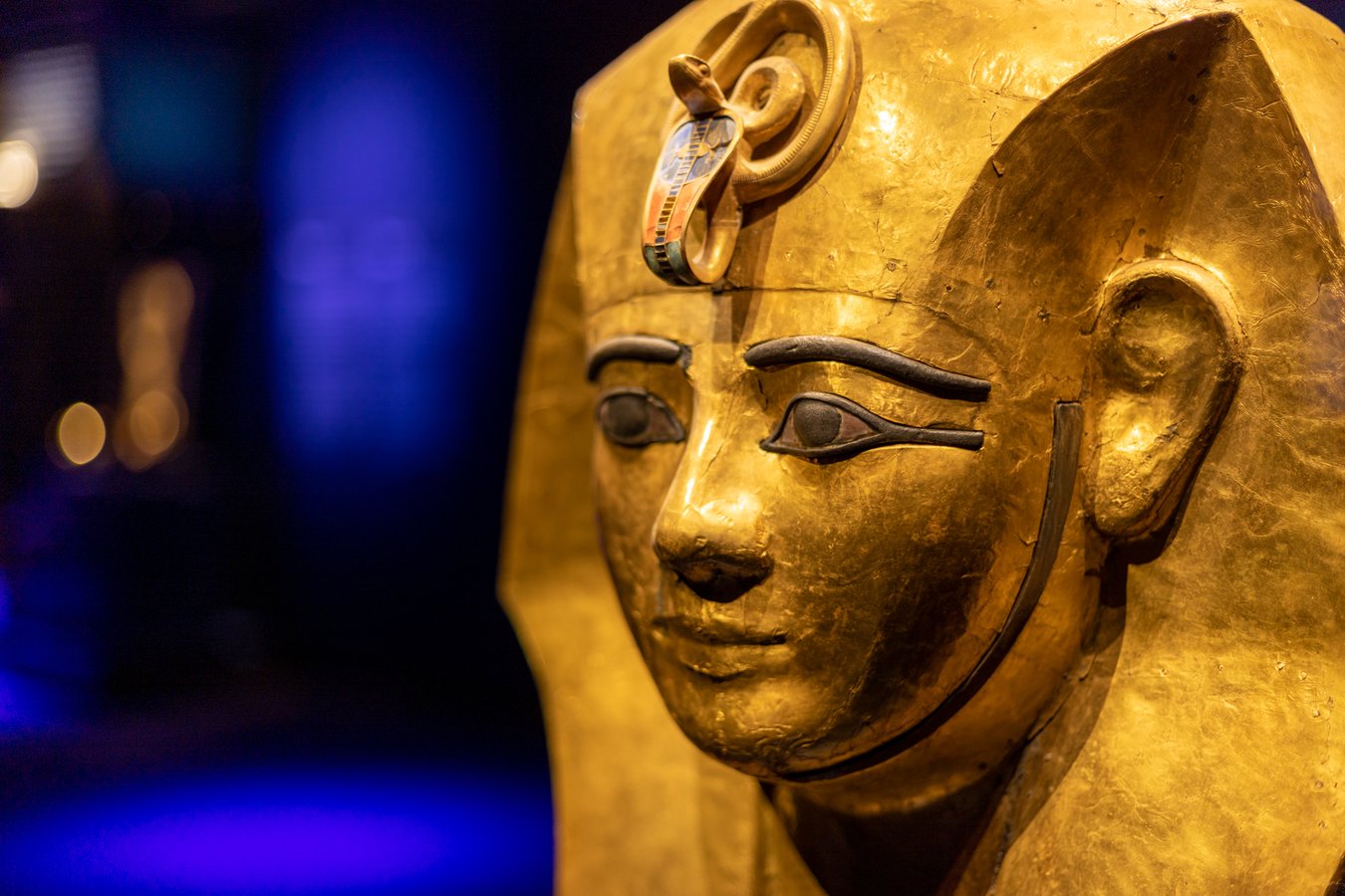 Ramses_the_Great_and_the_Gold_