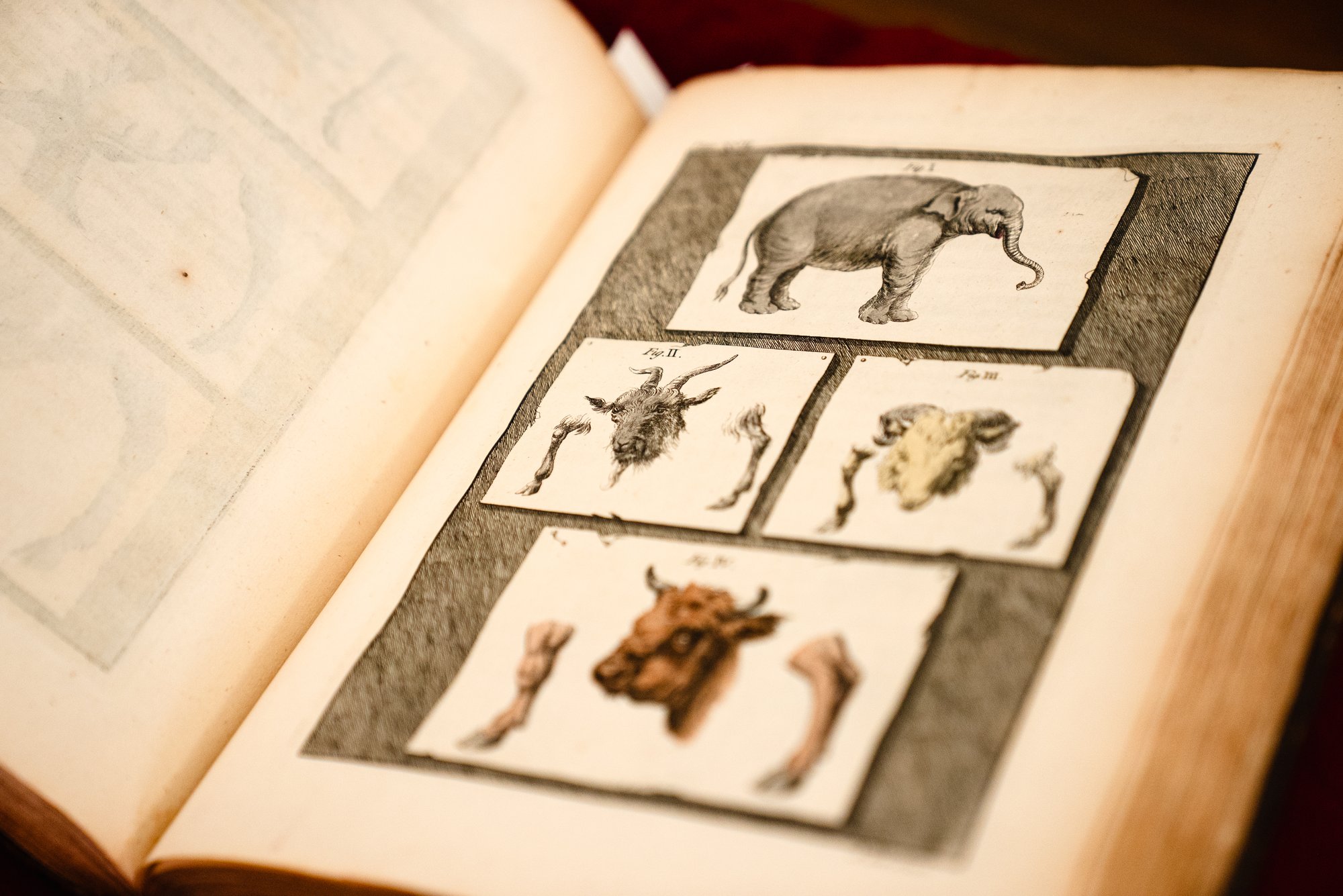 The Ragan History of Science Collection - The Australian Museum