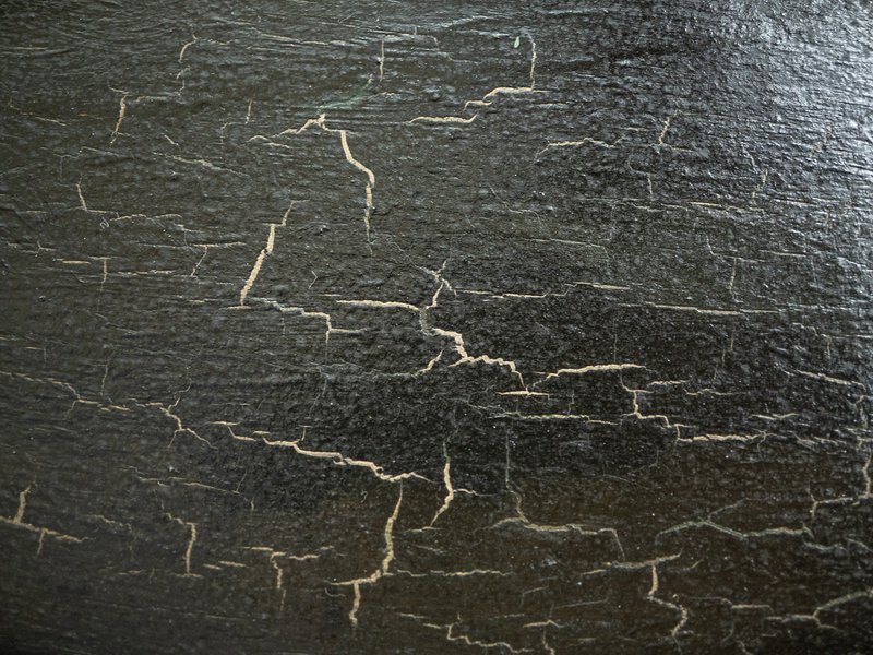 Restoration of AMS361/26 - Oil painting of jellyfish, 1887