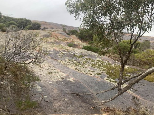 Mt Wudinna, SA (granite inselberg)