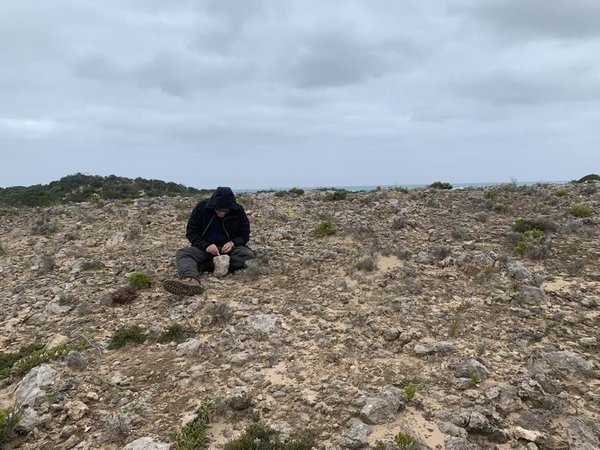 Frank searching for punctids on a rocky sand dune in Little Dip Conservation Park, SA.