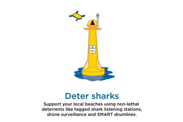 Be sea smart to help protect shark populations