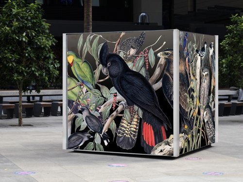 Storybox - Gould's Birds of Australia Bird Box