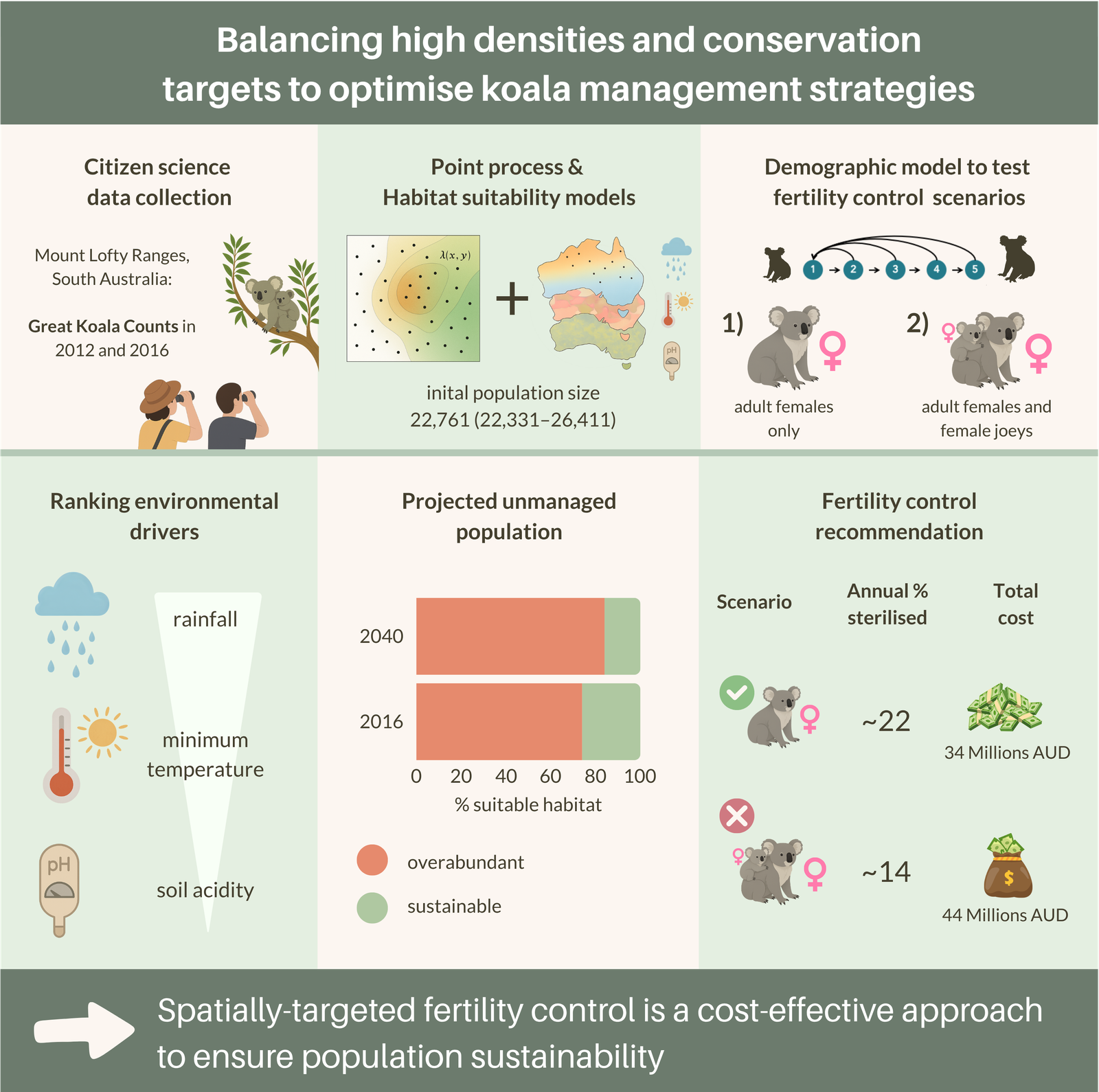 Balancing high densities and conservation targets to optimise koala management strategies