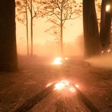 <i>2023 Australian Geographic Nature Photographer of the Year</i>
<p>Overall Winner: My Country Burns by Samuel Markham, New South Wales 
<p><i>Nothing can prepare someone for being straight in the line of a pyrocumulonimbus firestorm with a built-in flashover and temperatures exceeding 1000°C. While protecting my home on New Year’s Eve 2019, daylight turned into darkness with 40m-plus flames. Image taken 20 minutes after the fire front had passed.</i>