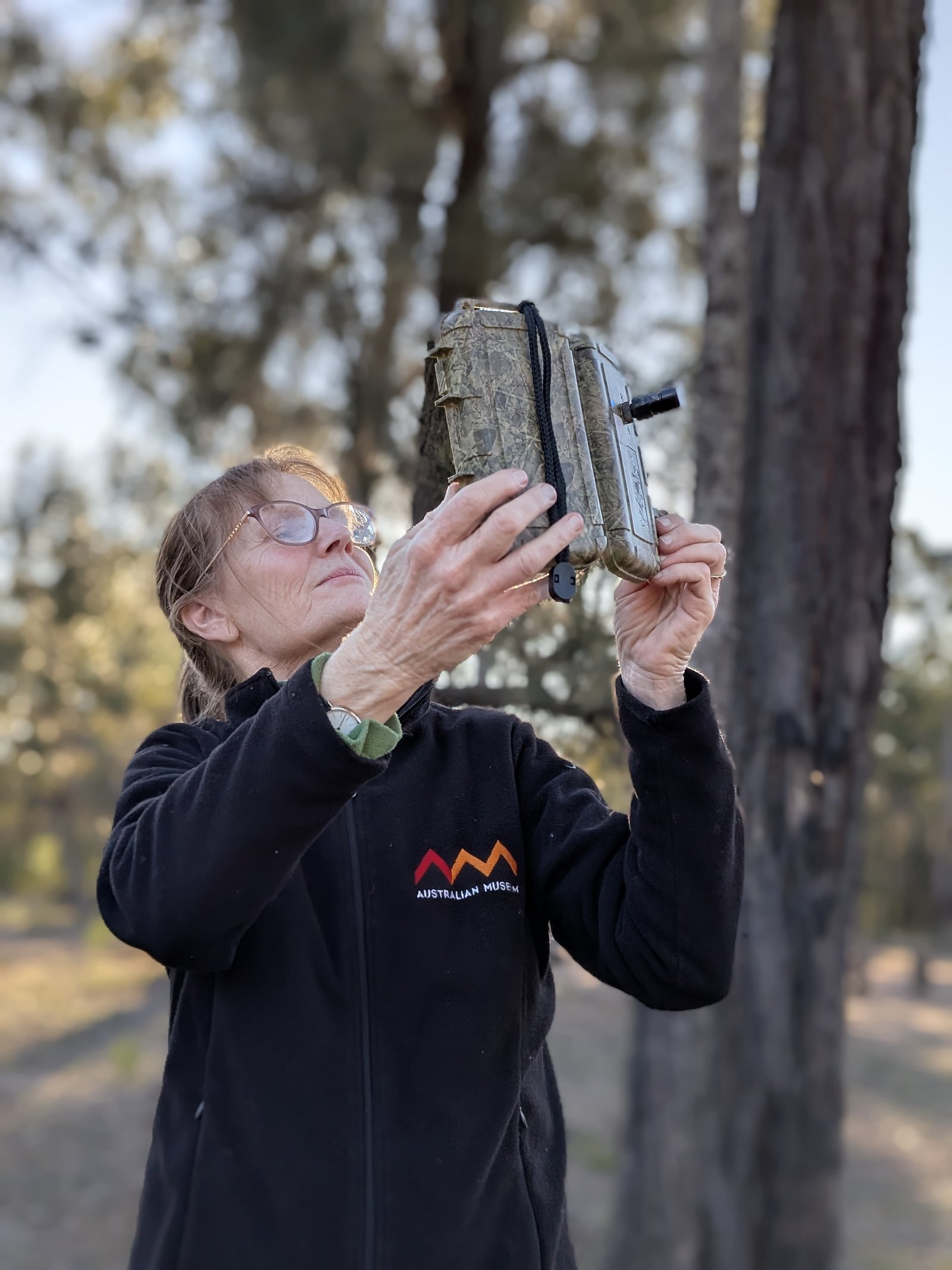 Australian Museum Mammalogy Collection Manager, Sandy Ingleby sets up acoustic bat trap
