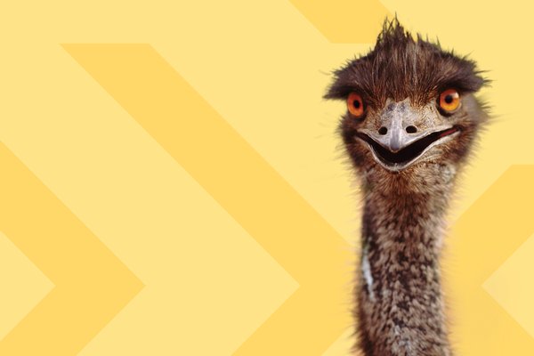 AM School Holidays banner