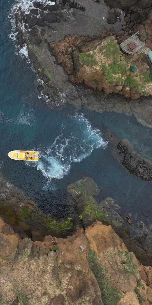 Scientists approaching Phillip Island