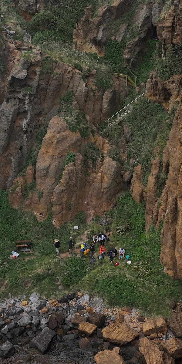 Scientists on Phillip Island - part of the Norfolk Island National Park.