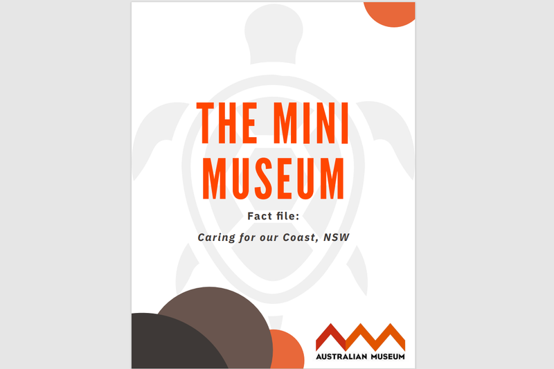 The Mini Museum: Caring for our Coast - The Australian Museum