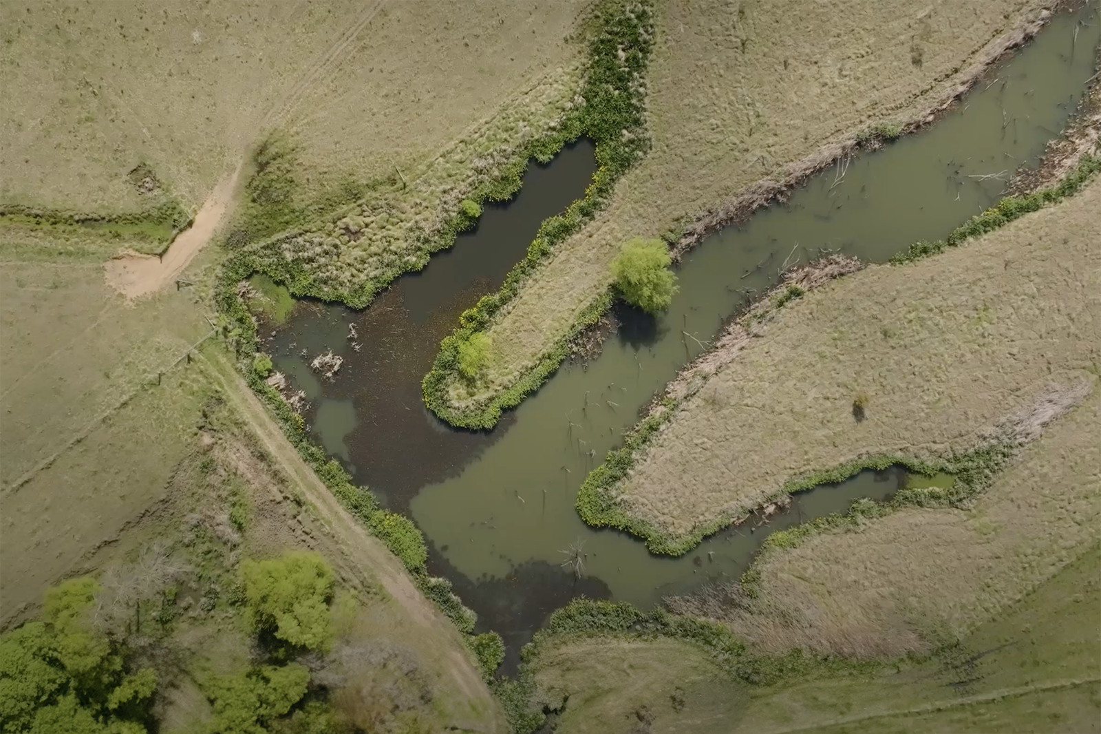 Future Now Makers: Martin Royds