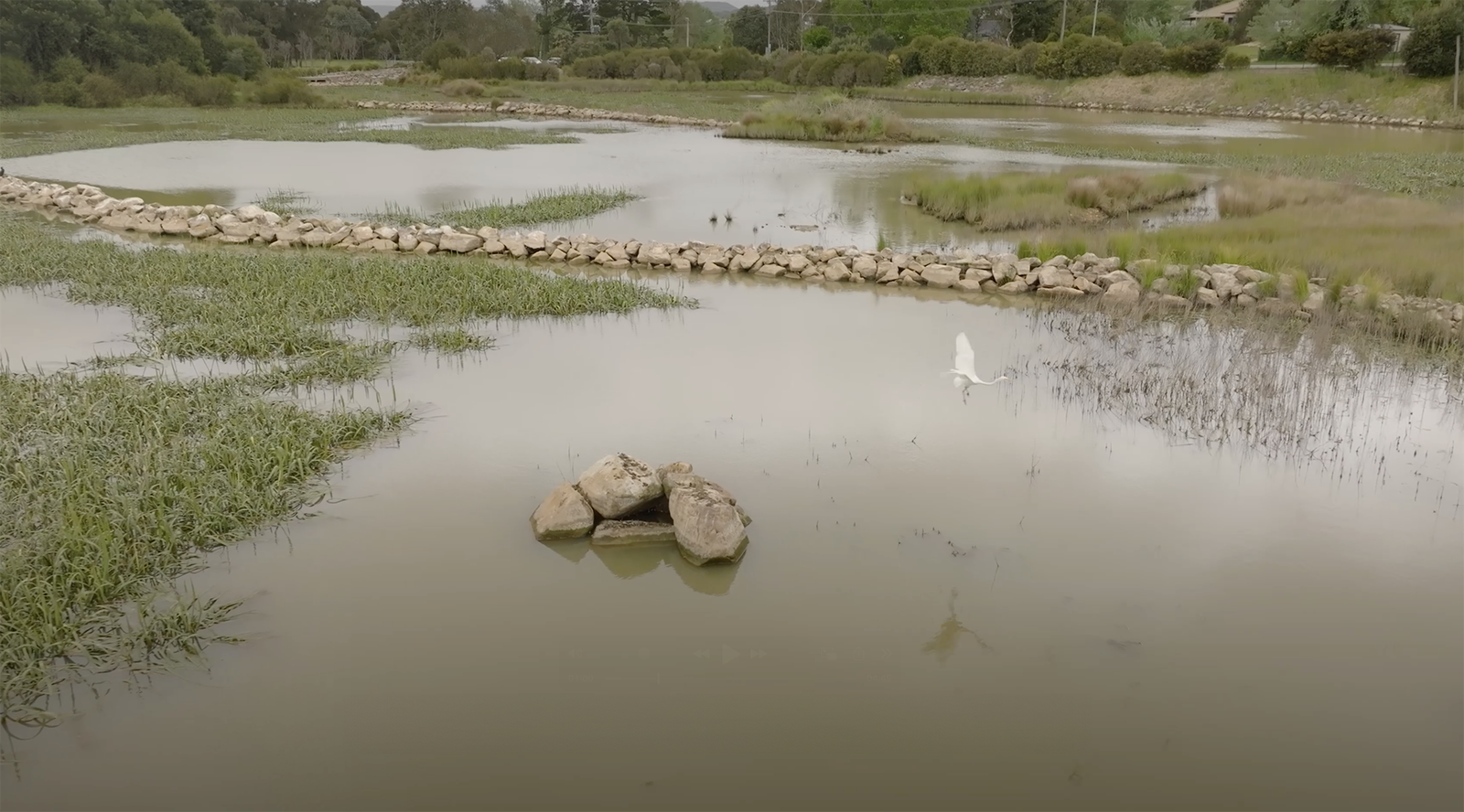 Future Now Makers: Mhairi Fraser, member of The Goulburn Group (TGG), a grassroots community action group and think tank, founded in 2007.