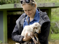 Future Now Makers: Emily Henderson, manager of Green Connect social enterprise