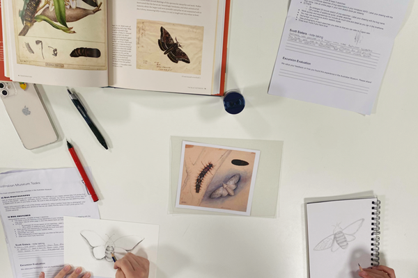 The Art of the Scott sisters: Secondary drawing program