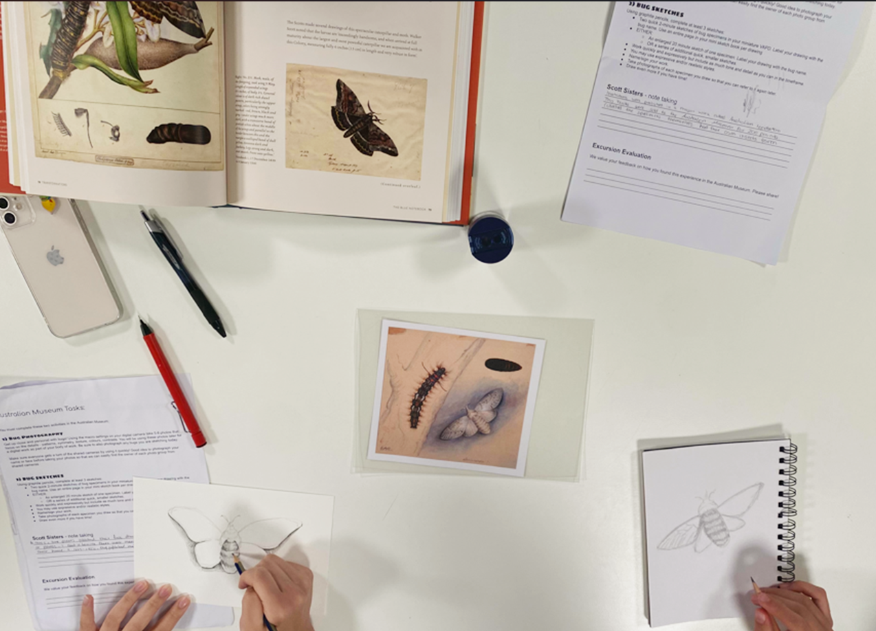 Scott sisters drawing program