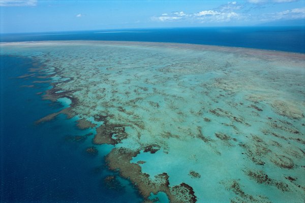 David Attenborough's Planet Earth - Shallow Seas, directed by Alastair Fothergill