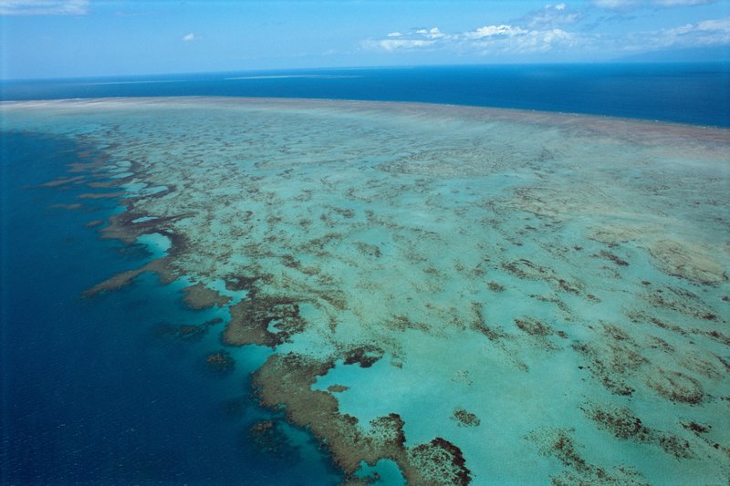Aerial view of the Great Barrier Reef's shallow coral formations meeting deep blue ocean water.