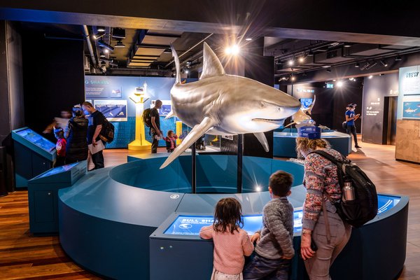 Sharks Opening weekend 22 September 2022