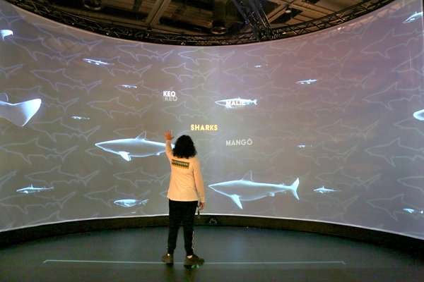 Sharks exhibition launch