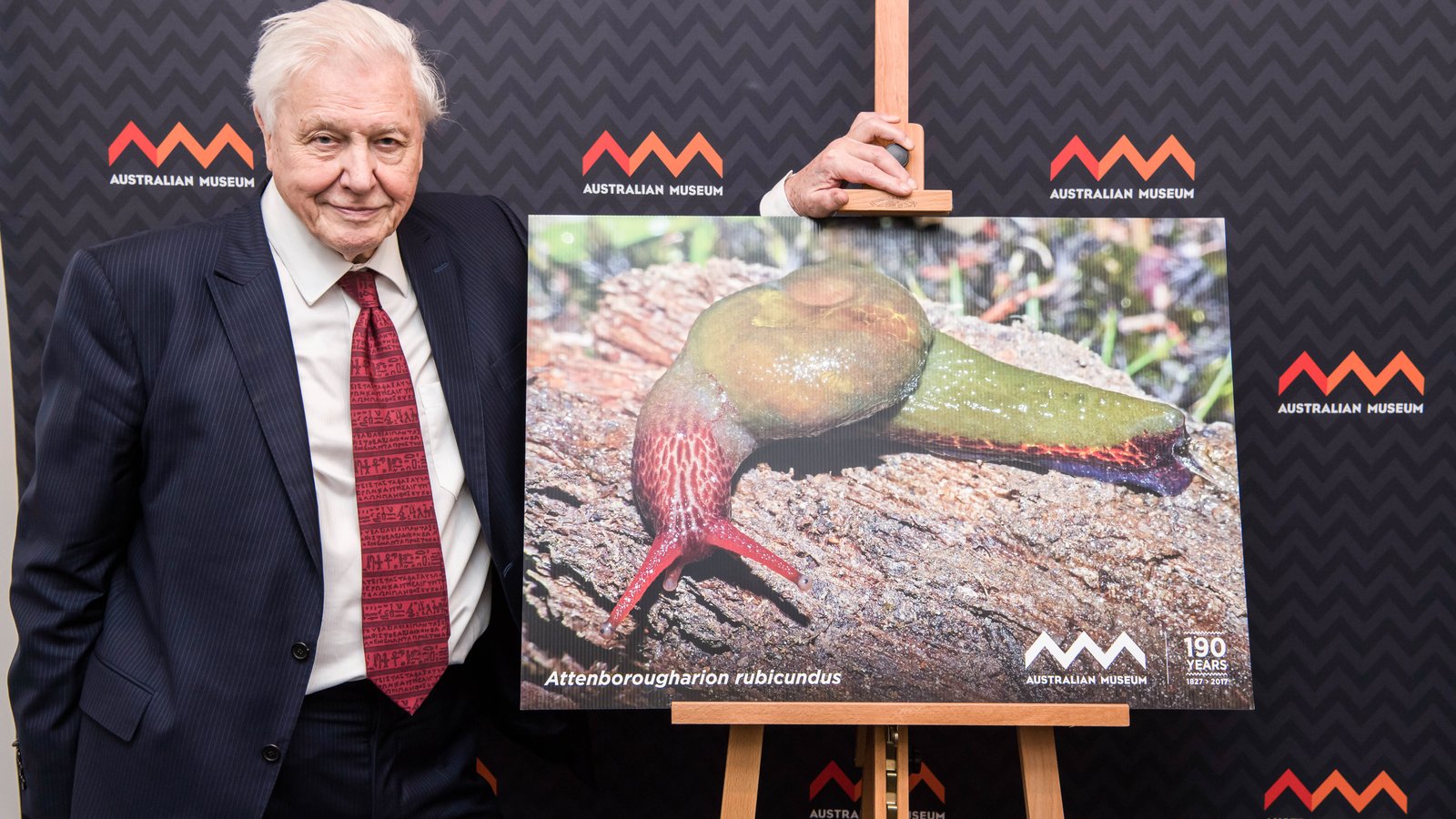 Sir David Attenborough at the AM