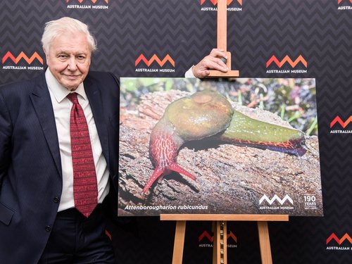 Sir David Attenborough at the AM