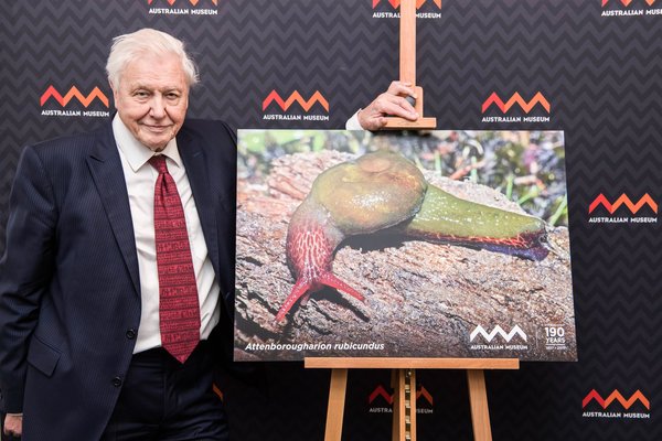 Sir David Attenborough at the AM