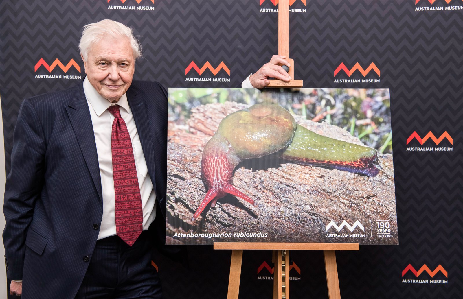 Sir David Attenborough at the AM
