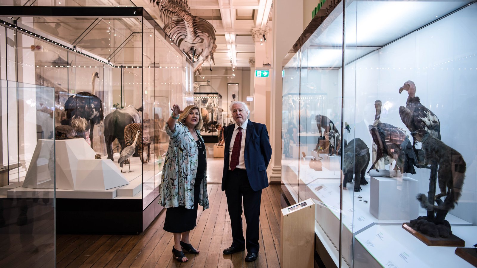 Sir David Attenborough and Australian Museum Director Kim McKay tour the Wild Planet exhibition.