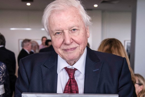Sir David Attenborough receives Australian Museum Lifetime Patron award