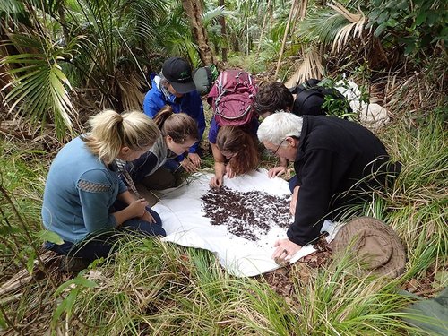 Chris Reid and citizen scientists looking at the contents of a sifter on Lord Howe Island, NSW
