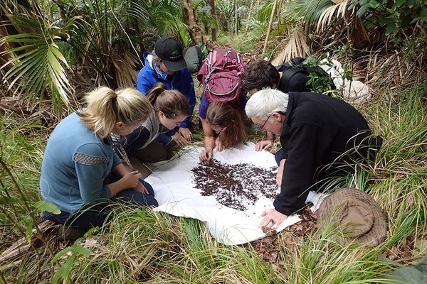 Chris Reid and citizen scientists looking at the contents of a sifter on Lord Howe Island, NSW