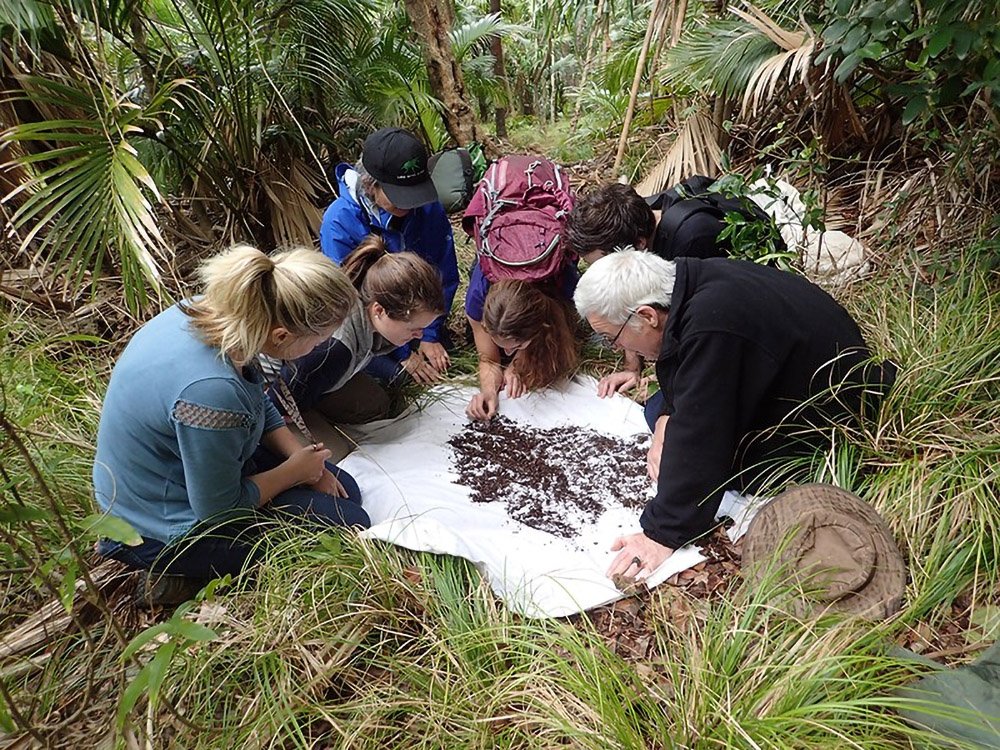 Chris Reid and citizen scientists looking at the contents of a sifter on Lord Howe Island, NSW