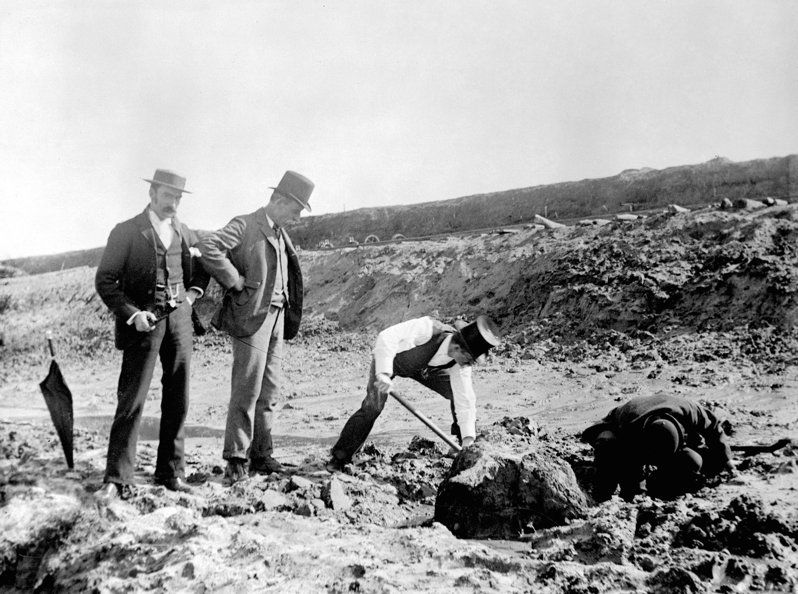 Excavation of dugong