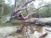 Streamwatch field work