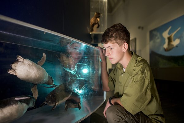 Students in an education program