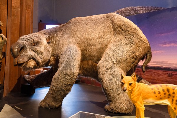 Surviving Australia Exhibition