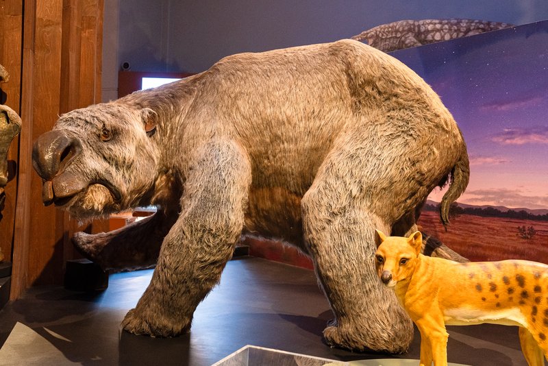 Surviving Australia Exhibition